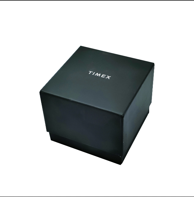 Timex Brass Analog Men's Watch TW4B17400