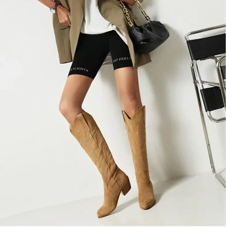 Pointed Toe Knight Boots for Women Brown PU Leather Knee High Boots Woman Autumn Winter Western Cowboy Long Botas Mujer 2024