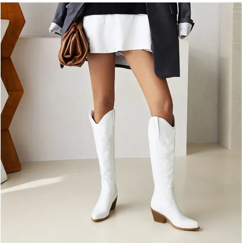 Pointed Toe Knight Boots for Women Brown PU Leather Knee High Boots Woman Autumn Winter Western Cowboy Long Botas Mujer 2024
