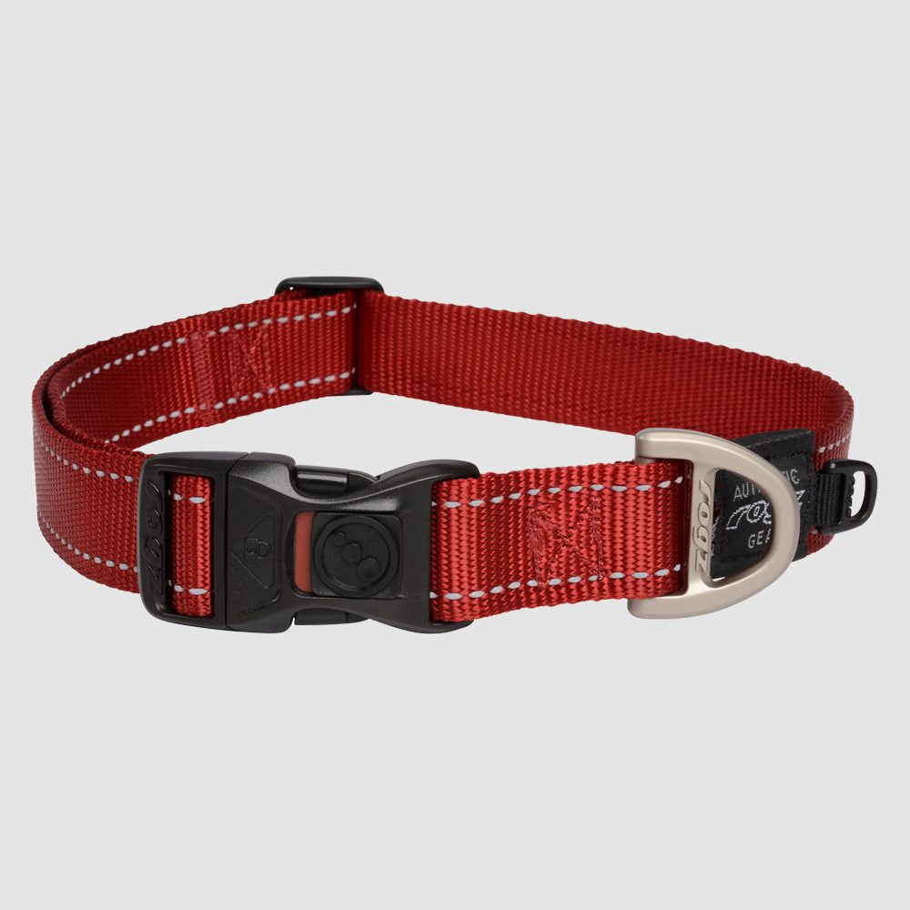 Rogz Utility Classic Collar