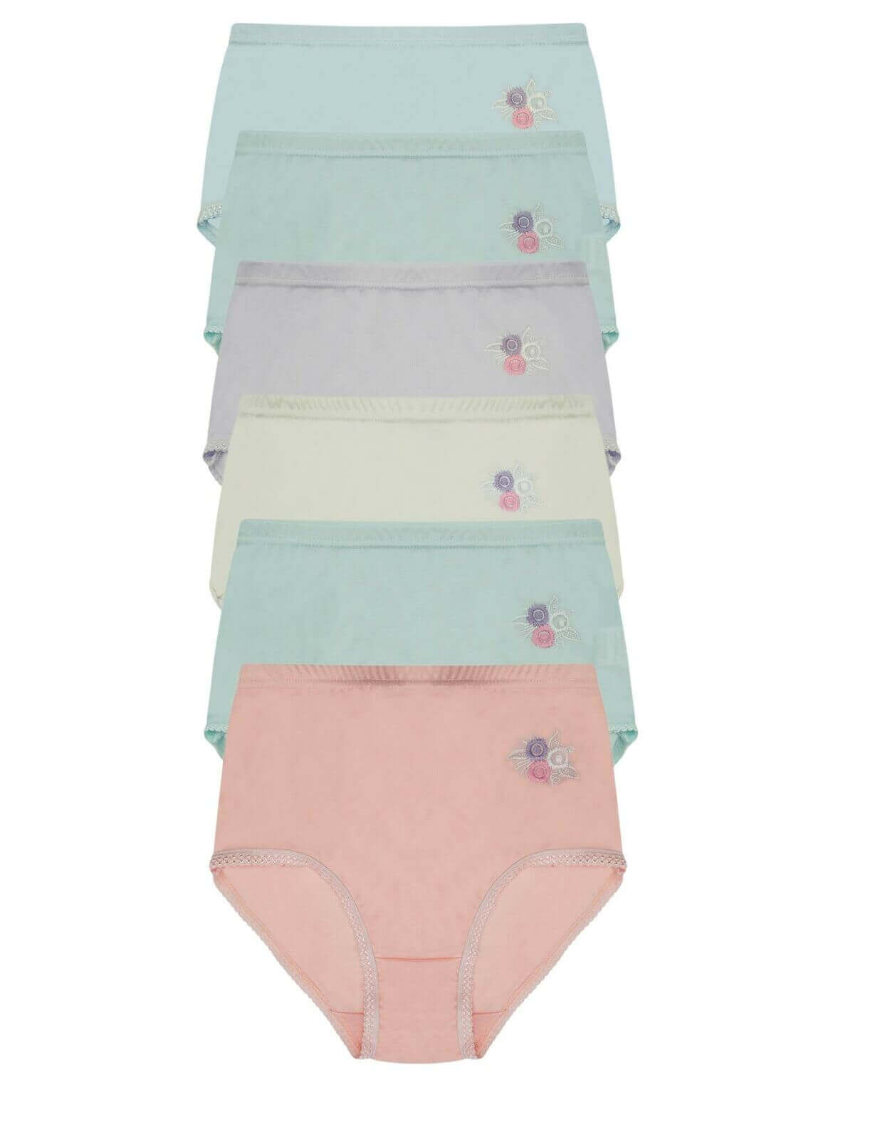 Pack of 6 Womens Embroidered Full Briefs Maxi Underwear Ultra Comfortable Stretch Waistband Premium Cotton Blend Breathable Everyday Essential Panties by Daisy Dreamer
