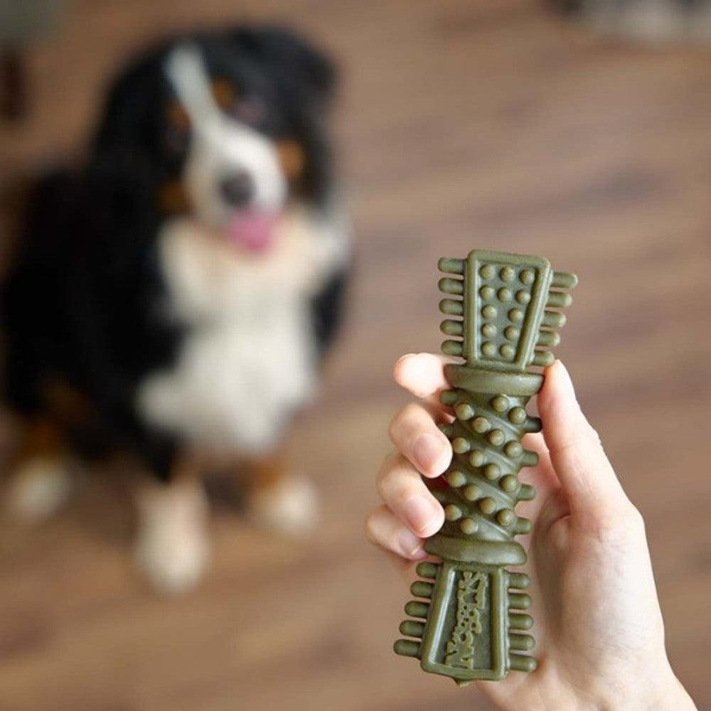 Petello Nobblys Tough Brush