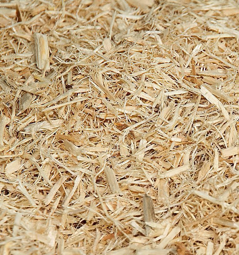 Rapeseed 20kg Flaked Wood Bedding