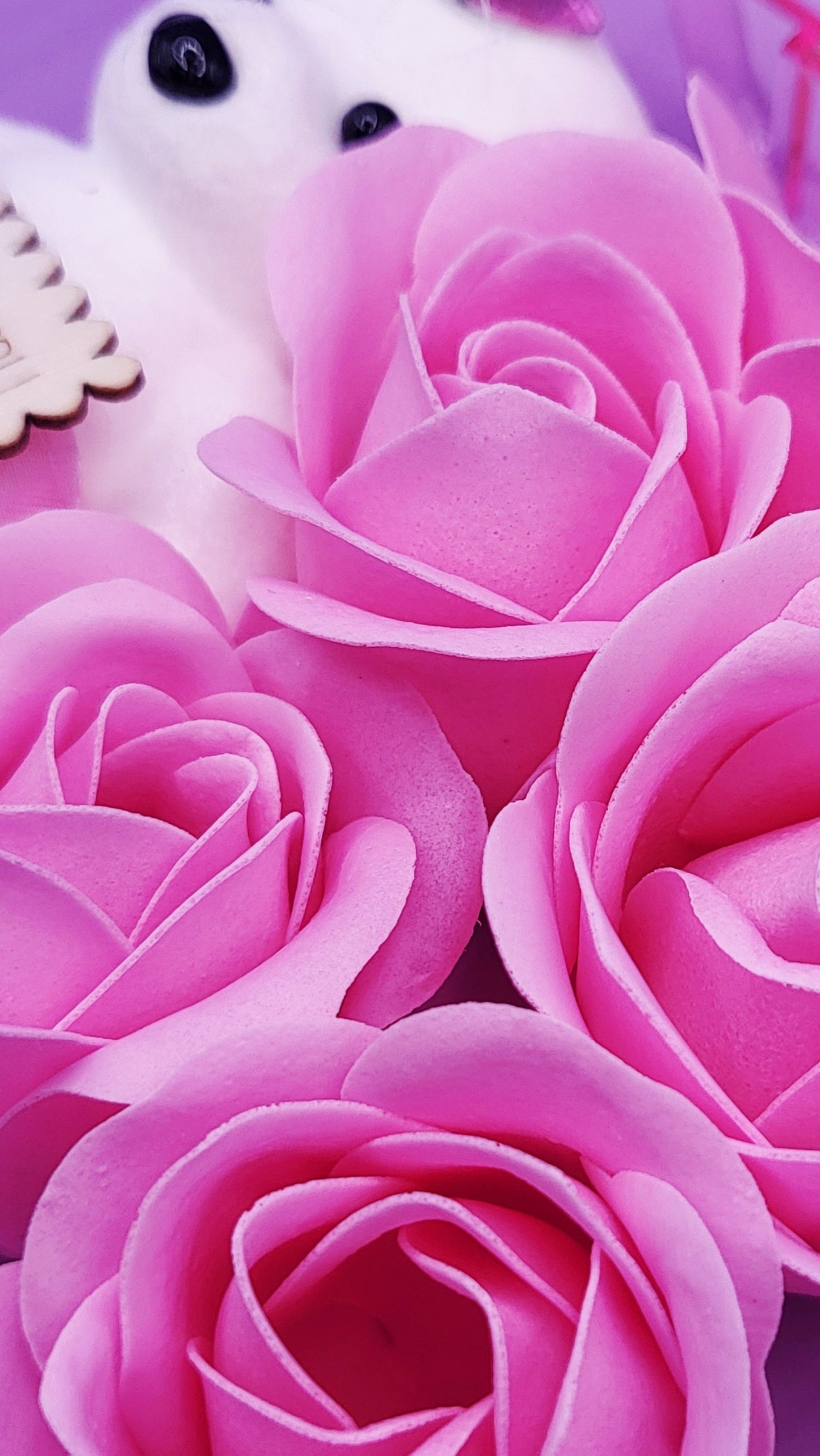 Scented Teddy Rose Gift Case