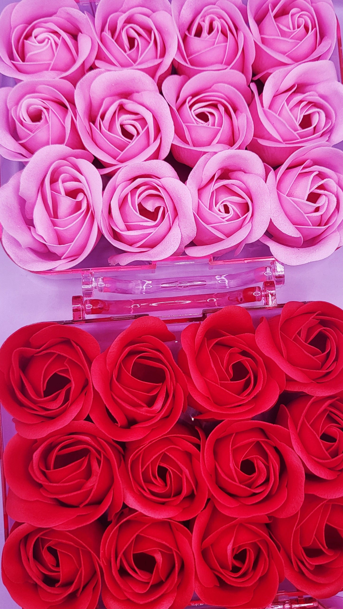 Scented Teddy Rose Gift Case