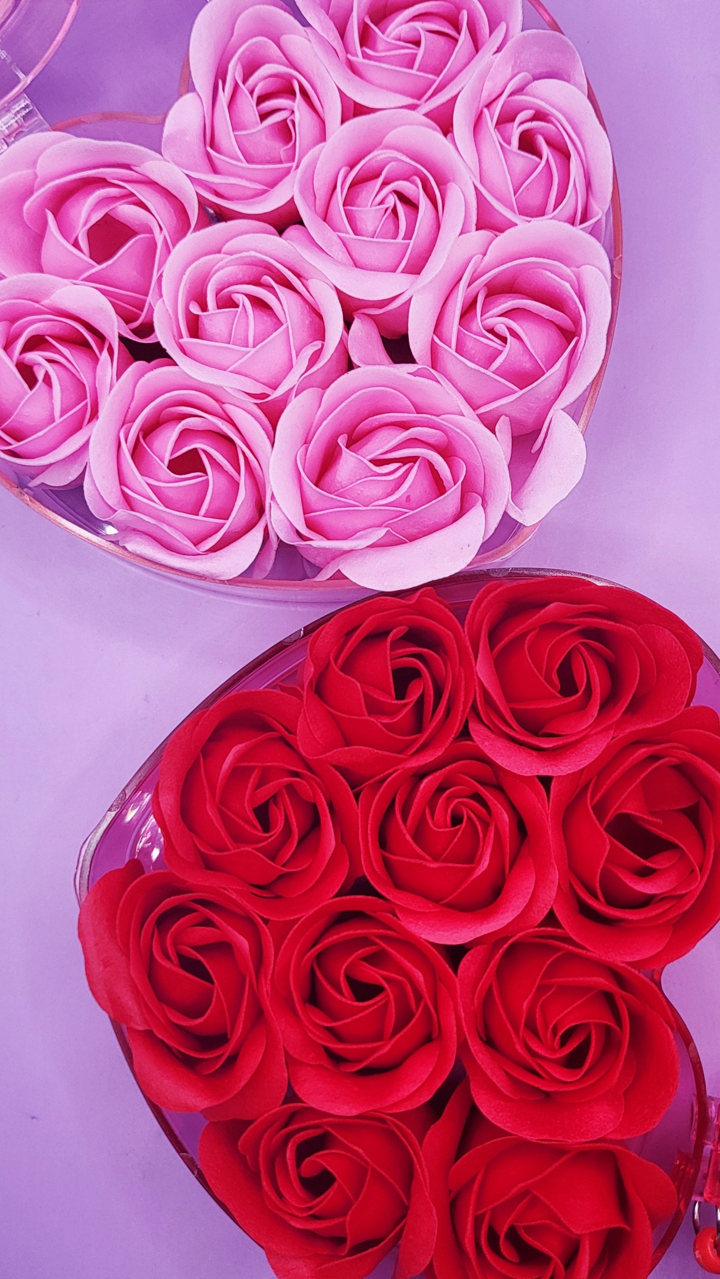 Scented Teddy Rose Gift Case