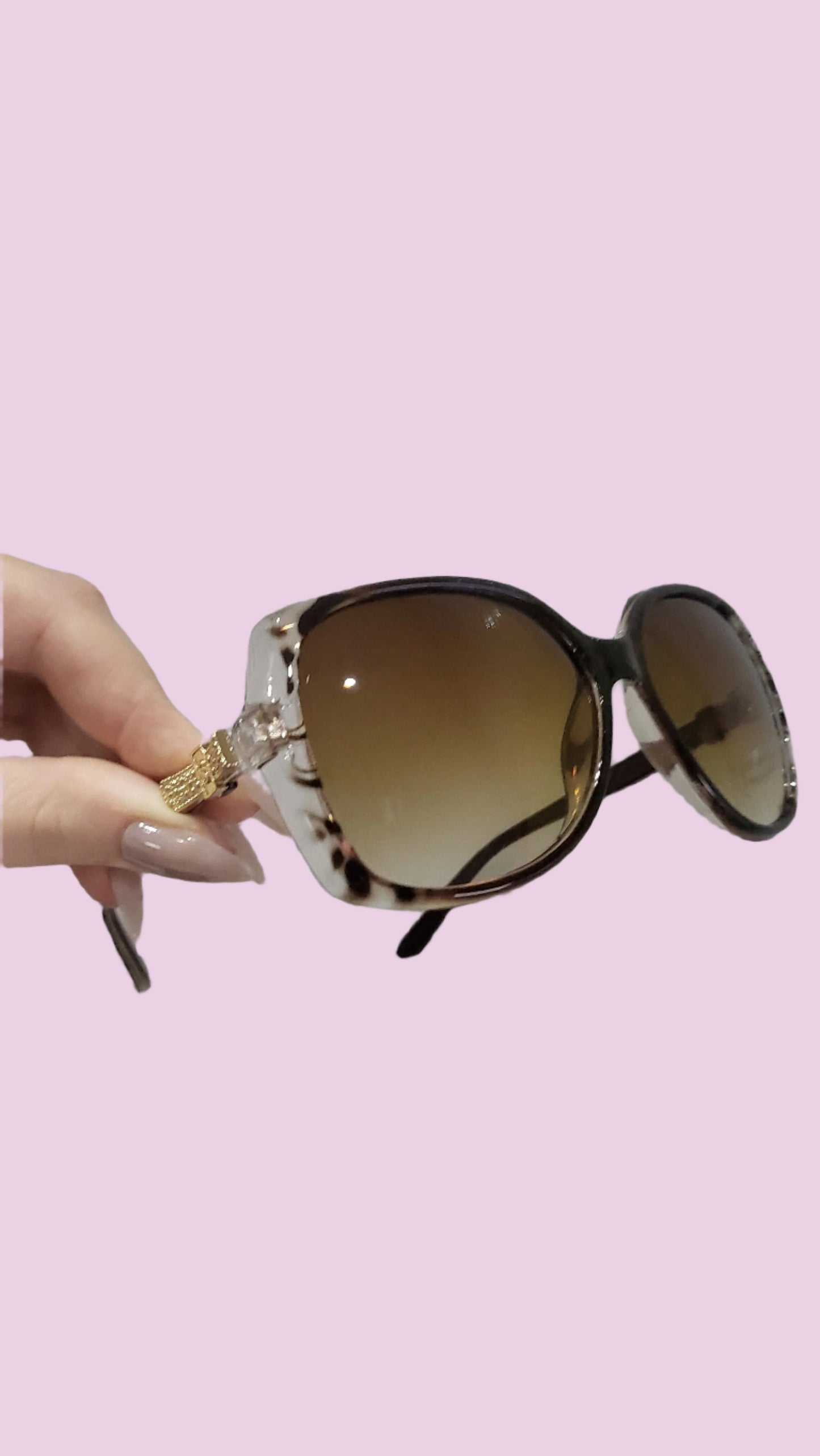 Perfection Sunglasses Box of 12