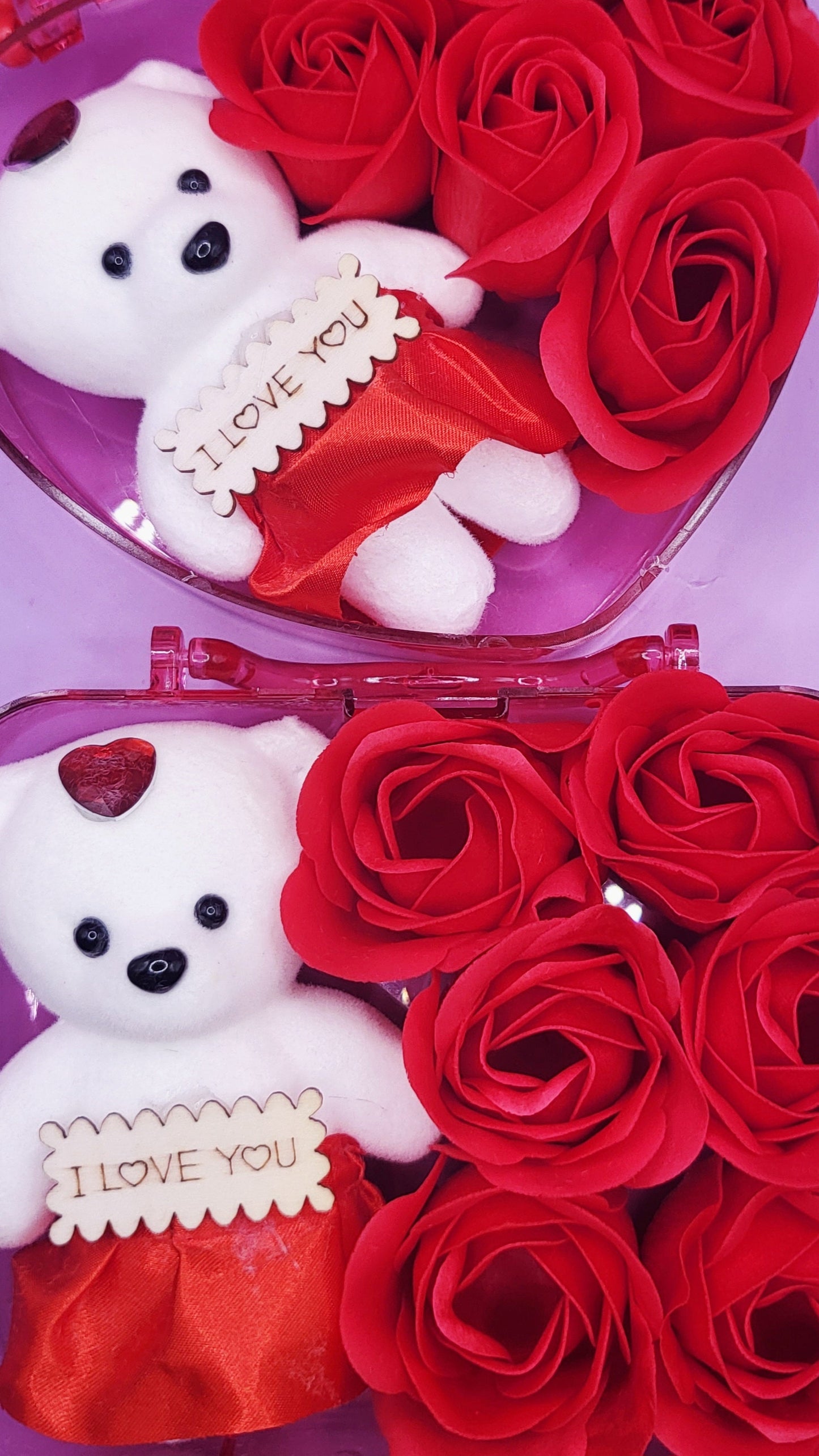 Scented Teddy Rose Gift Case