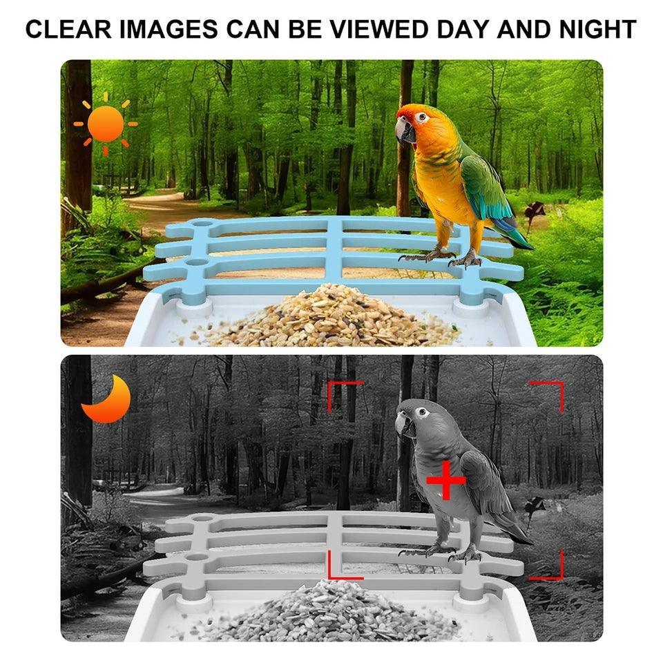 Sansco Solar Bird Feeder with Camera