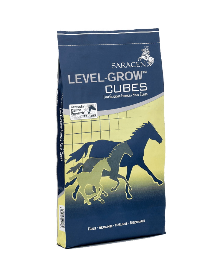 Saracen Level-Grow Cubes Winter