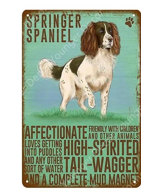 Springer Spaniel Dog Tin Sign