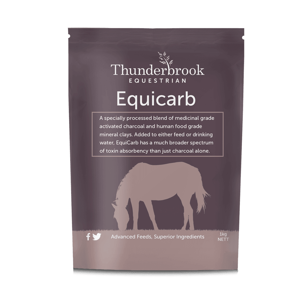 Thunderbrook Equicarb