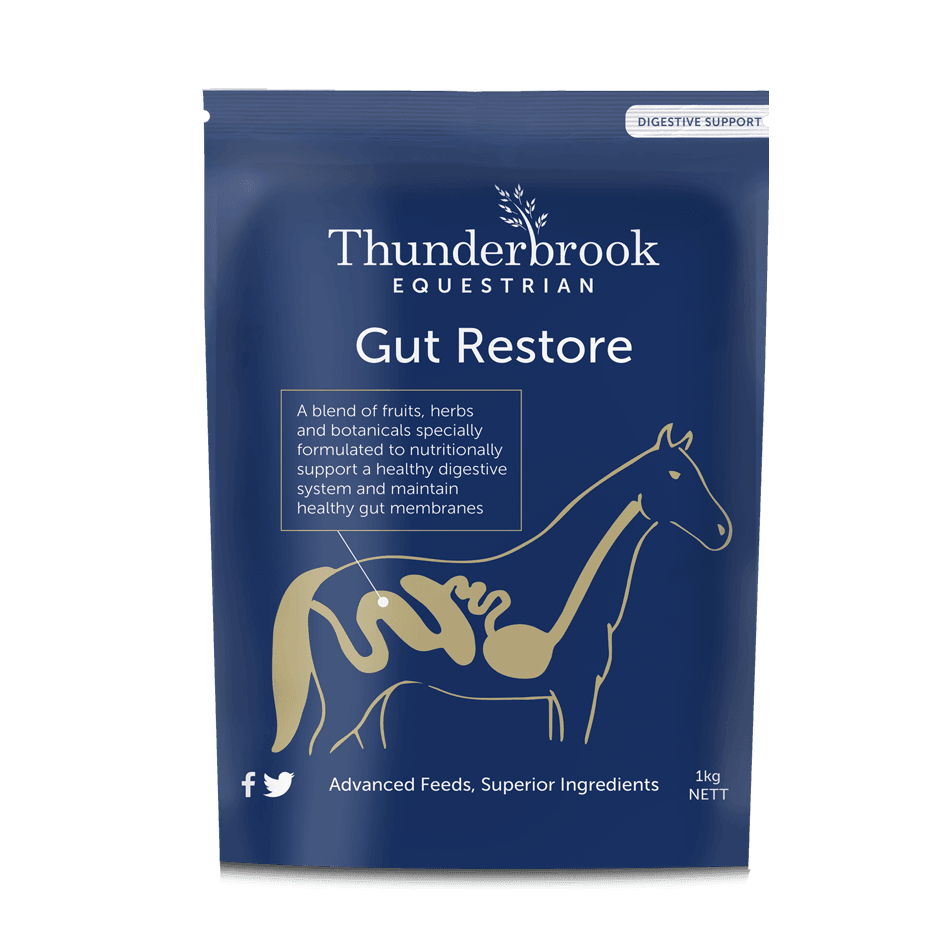 Thunderbrook Gut Restore