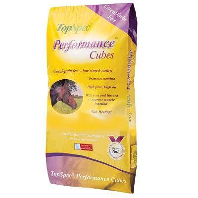 TopSpec Performance Cubes