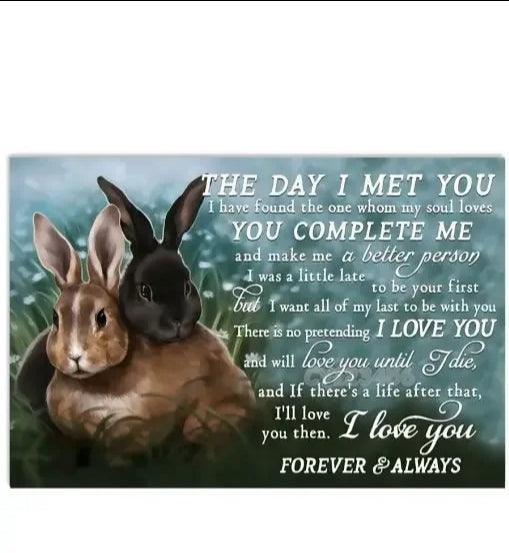 Various Rabbit Tin Sign