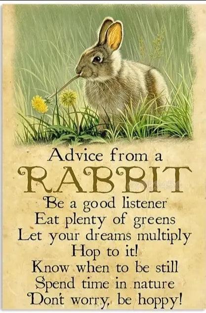 Various Rabbit Tin Sign