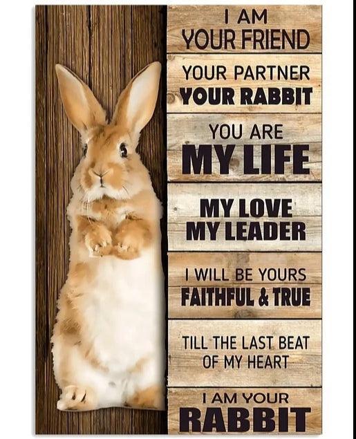 Various Rabbit Tin Sign