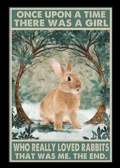 Various Rabbit Tin Sign