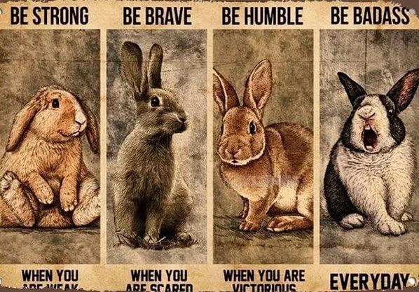 Various Rabbit Tin Sign