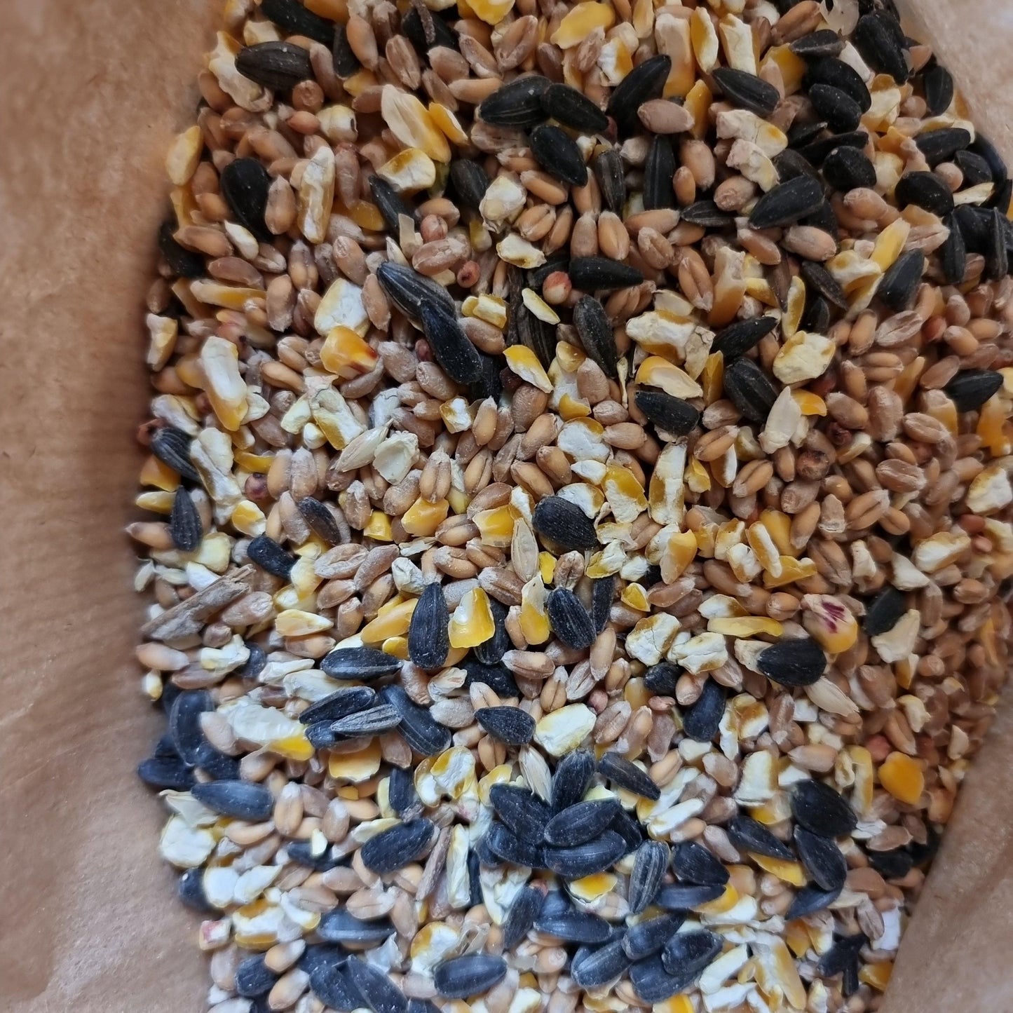 Wild Bird Food Mix - 2kg