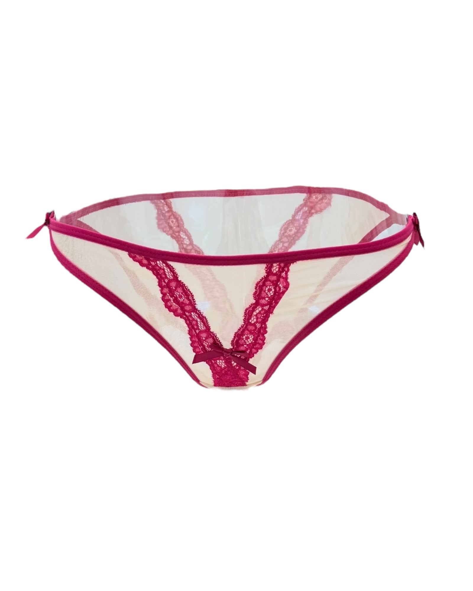 Vivid Lace Trim Mesh Brief-1