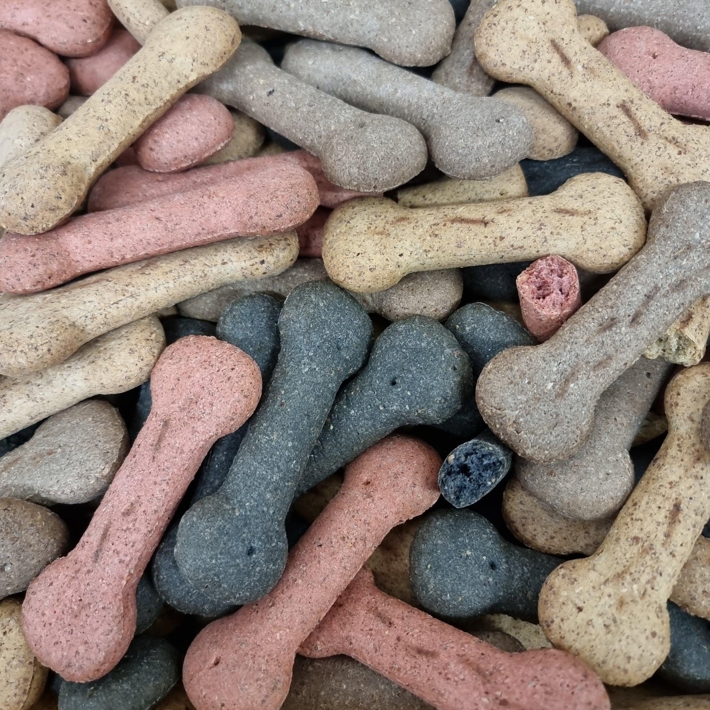 10 Assorted Large Dog Bone Biscuits