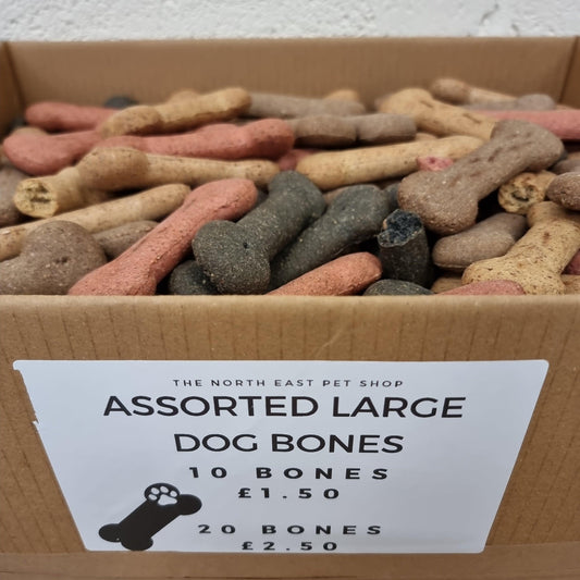 10 Assorted Large Dog Bone Biscuits