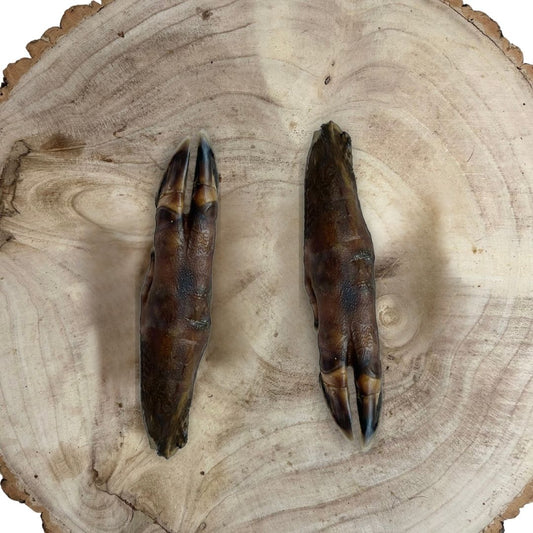 Wild Boar Trotter