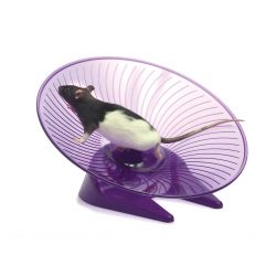 Small 'N' Furry Fly 'N' Saucer Wheel Large, 12"