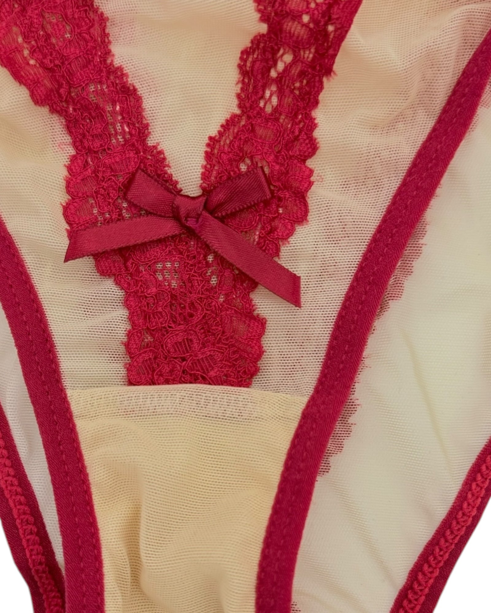 Vivid Lace Trim Mesh Brief-4