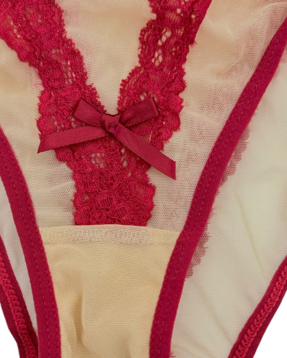 Vivid Lace Trim Mesh Brief-4