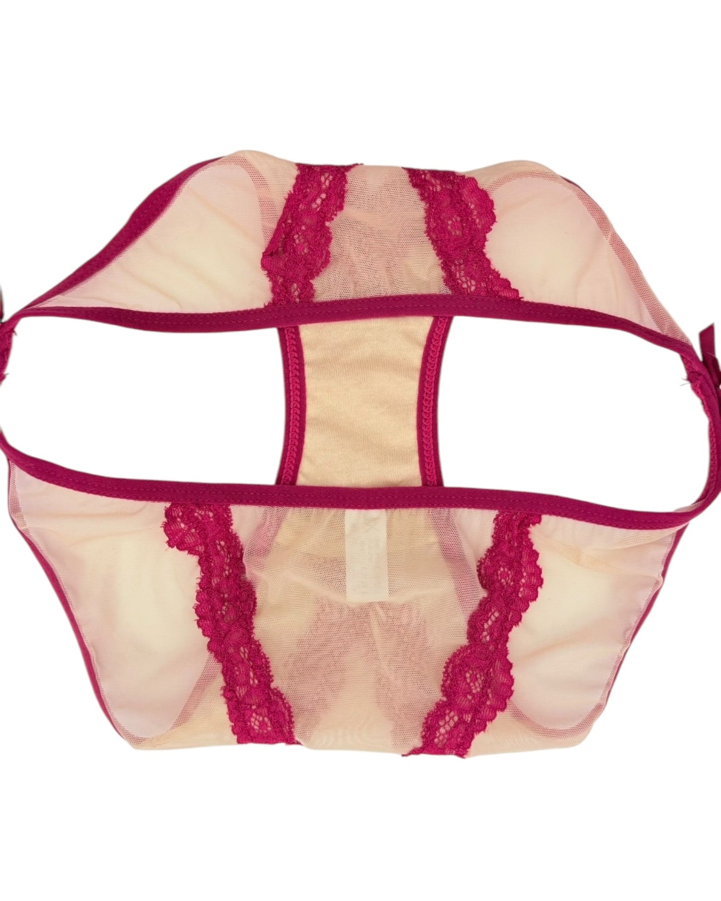 Vivid Lace Trim Mesh Brief-2