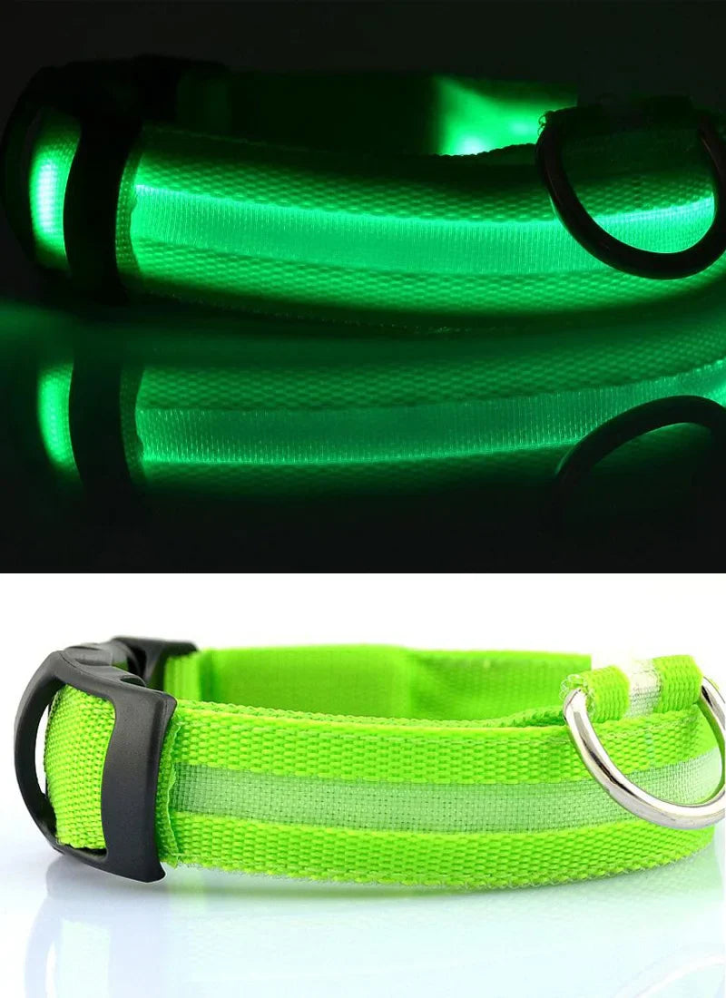 Nylon LED Pet Dog Collar Dogs Luminous Fluorescent Collars Pet Supplies Night Safety Flashing Glow In The Dark Dog Leash