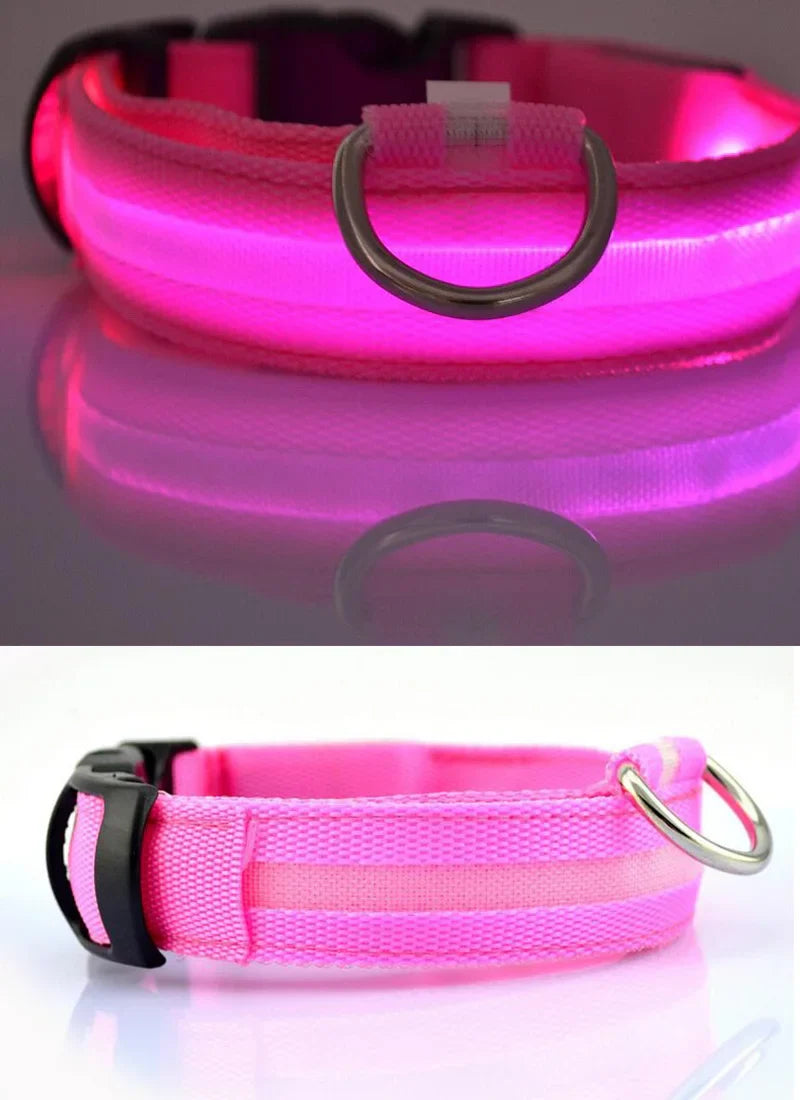 Nylon LED Pet Dog Collar Dogs Luminous Fluorescent Collars Pet Supplies Night Safety Flashing Glow In The Dark Dog Leash