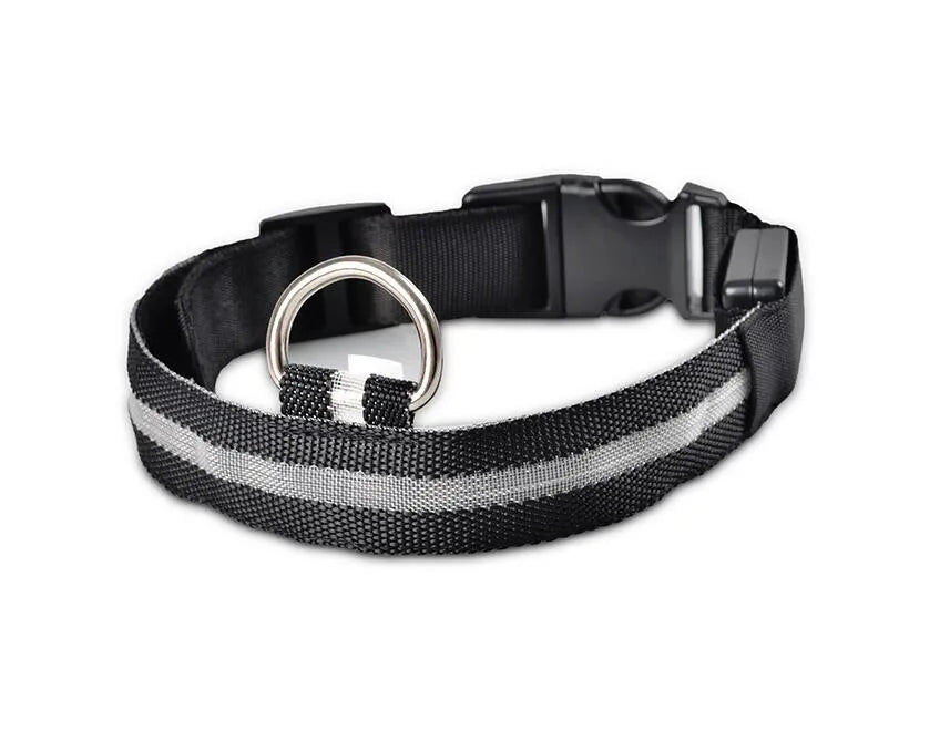 Nylon LED Pet Dog Collar Dogs Luminous Fluorescent Collars Pet Supplies Night Safety Flashing Glow In The Dark Dog Leash