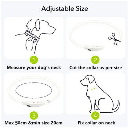 USB Rechargeable Luminous Collar Adjustable Led Glowing Dog Collar for Large Small Dogs Cat Night Light Collar Pet Safety Harnes