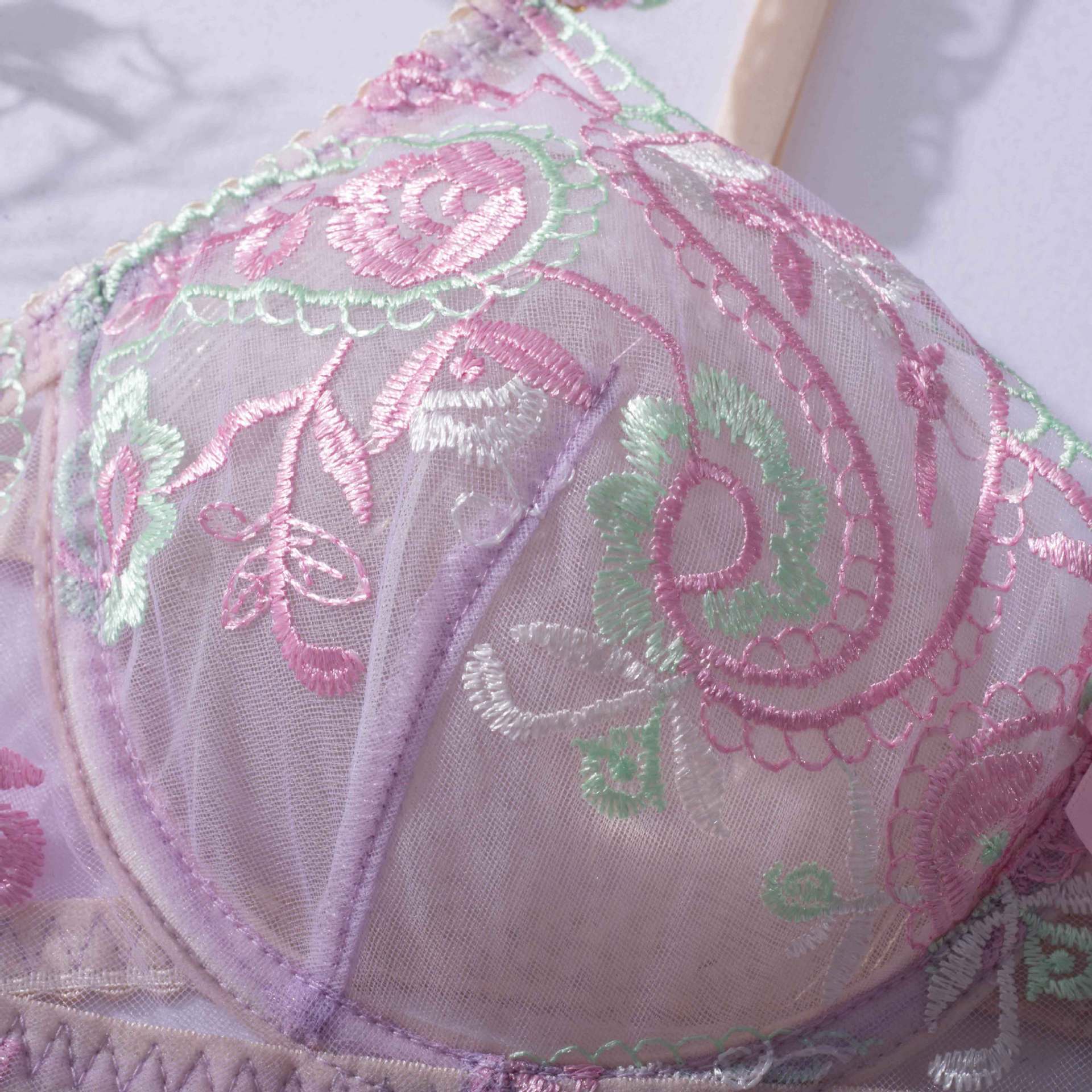 Sheer Mesh Sexy Lingerie Bra Set with Embroidered Flowers Bra Show