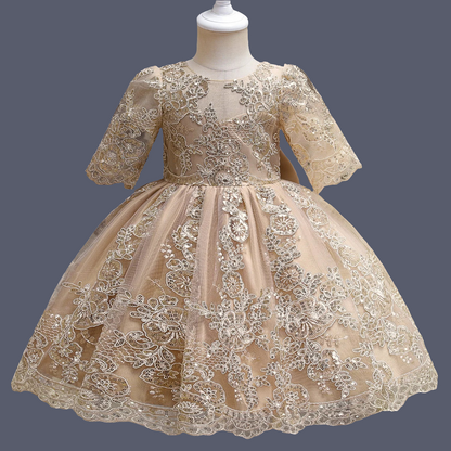 Toddler Kids 1st Birthday Baptism Party Dress for Girl Princess Luxury Embroidery Costume Backless Bow Wedding Gown Baby Dresses