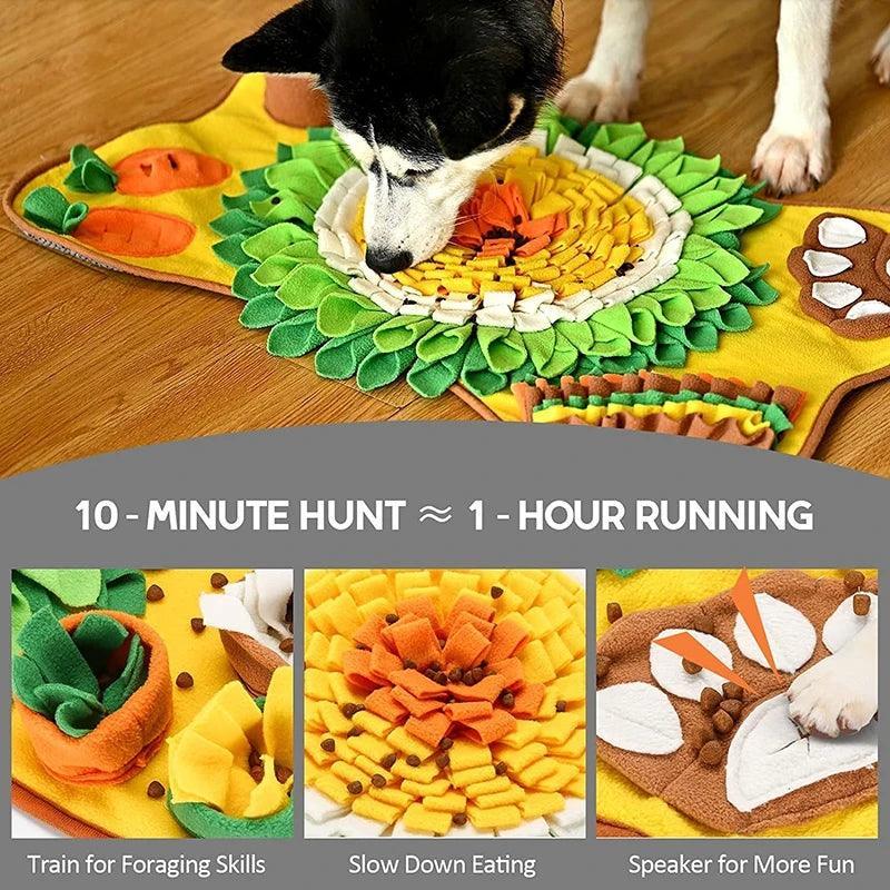 New Pet Treat Puzzle Mat