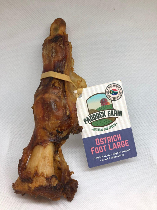Ostrich Foot Large