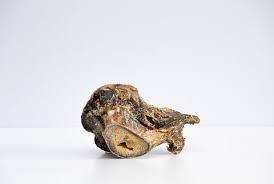 Ostrich Knuckle Small