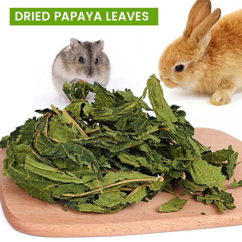 Papaya Leaf Chew Toy for Small Pets – Rabbit, Hamster, Chinchilla, Guinea Pig Treat & Teeth Cleaner