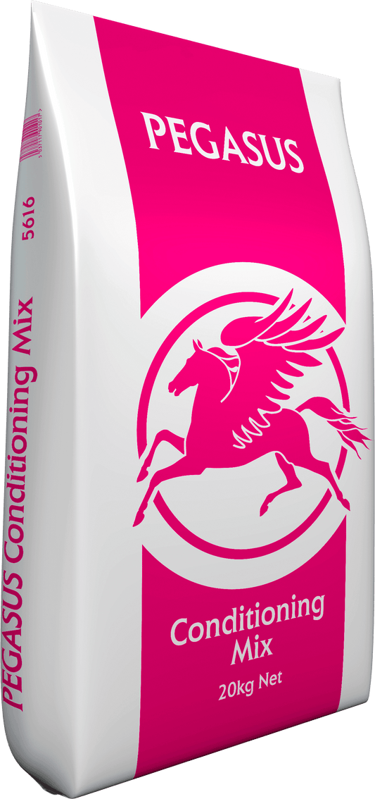 Pegasus Conditioning Mix