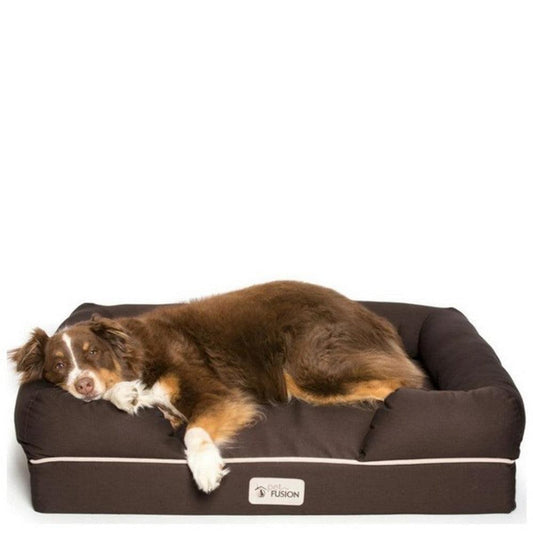 PetFusion Ultimate Solid Waterproof Memory Foam Dog Bed for Medium and Large Dogs