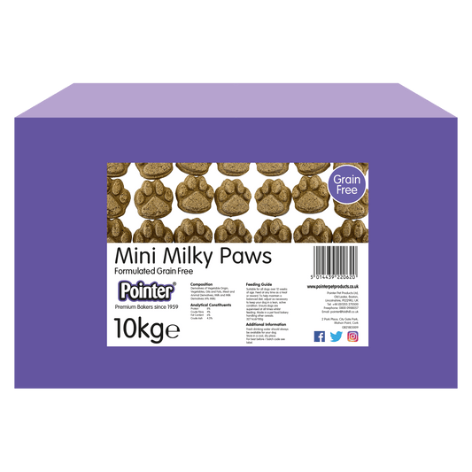 Pointer Milky Mini Paws
