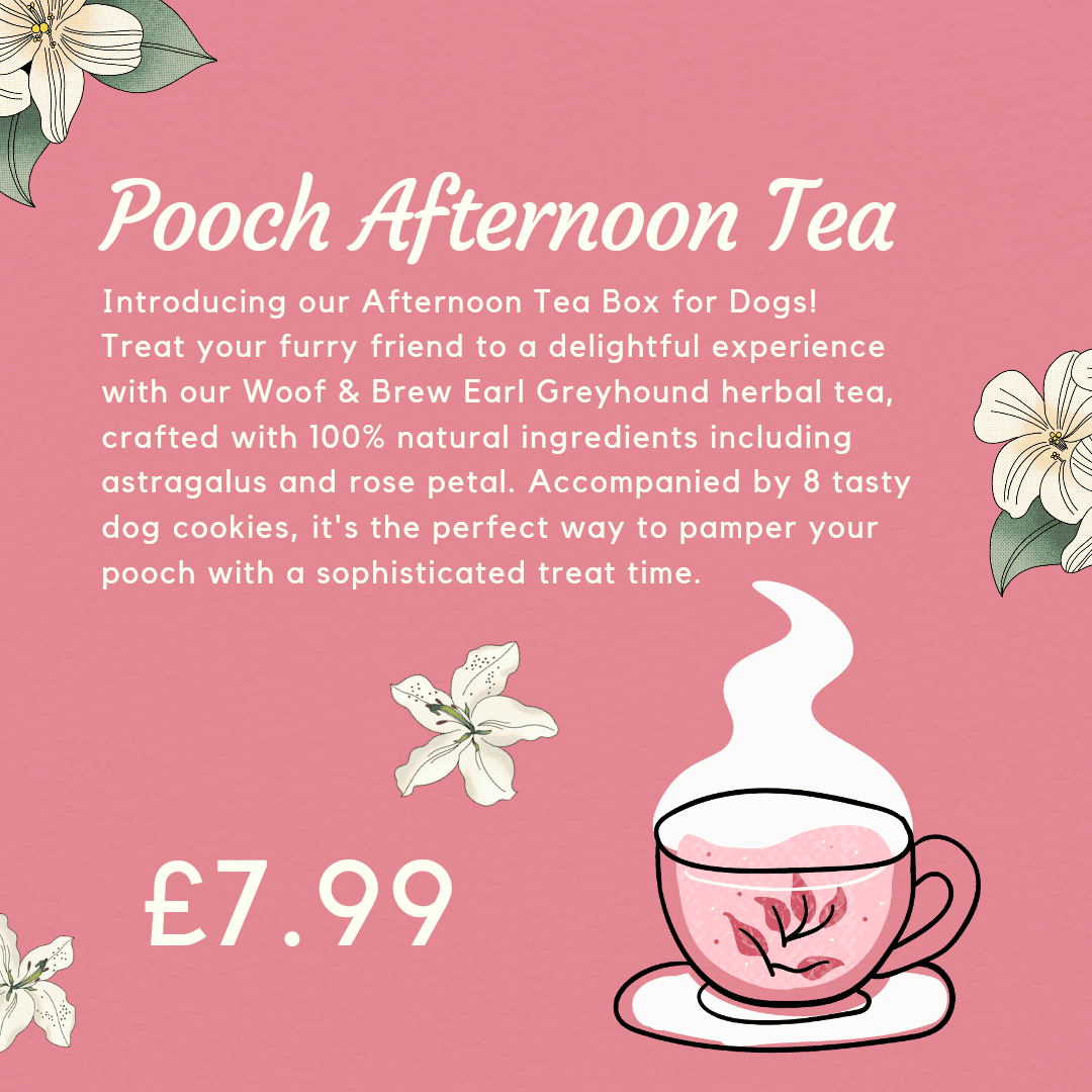 Pooch Afternoon Tea