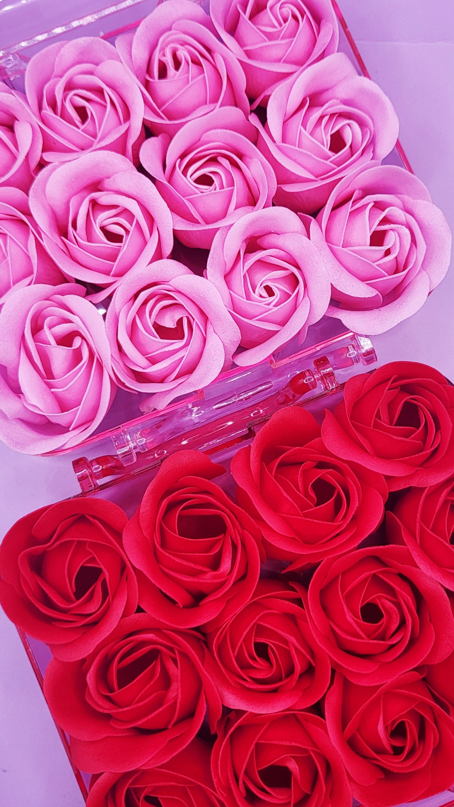 Scented Teddy Rose Gift Case