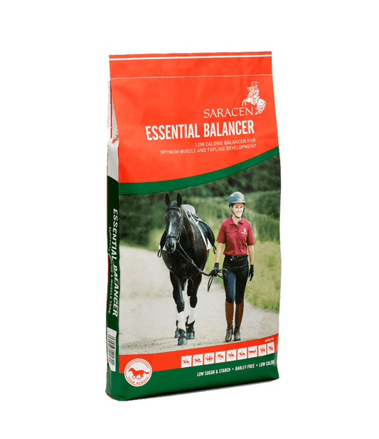 Saracen Essential Balancer
