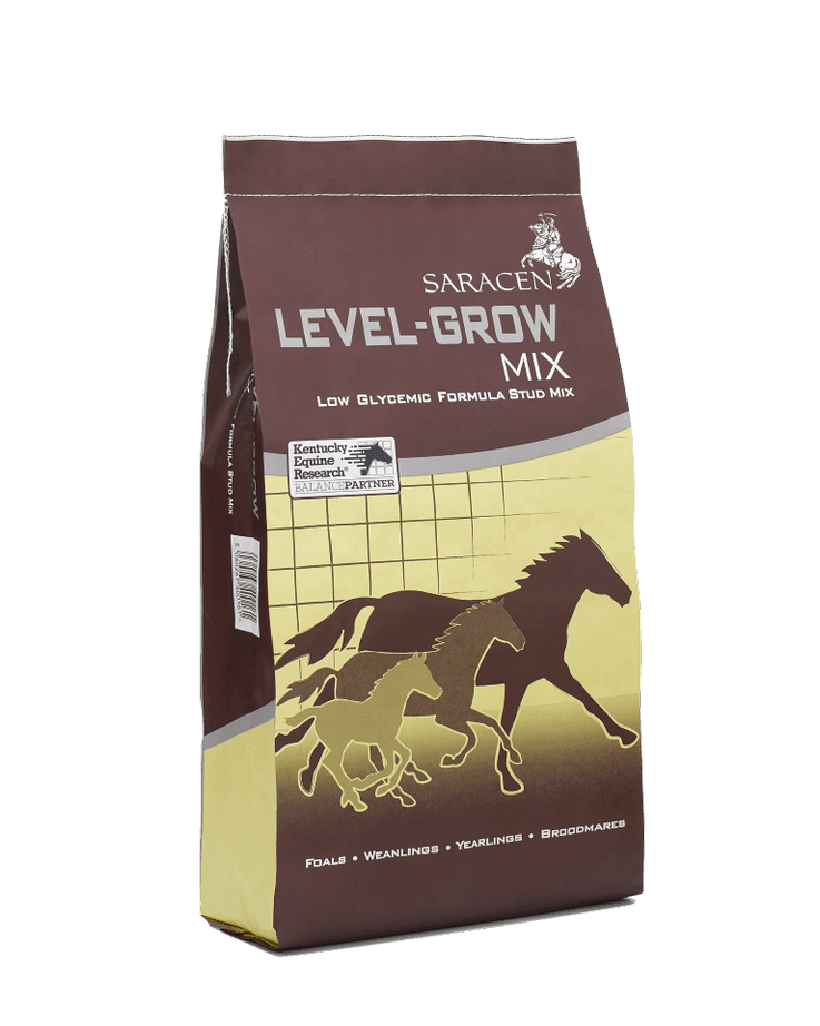 Saracen Level-Grow Mix Winter