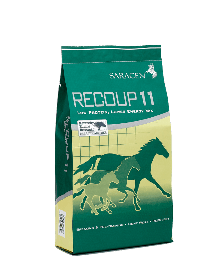 Saracen Re-Coup 11